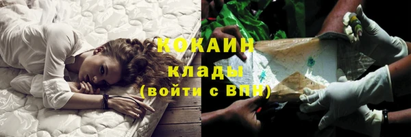 ГАЛЛЮЦИНОГЕННЫЕ ГРИБЫ Медвежьегорск