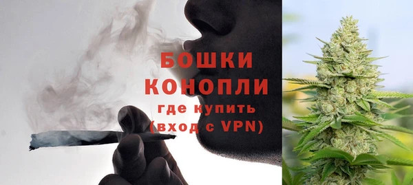 ГАЛЛЮЦИНОГЕННЫЕ ГРИБЫ Медвежьегорск