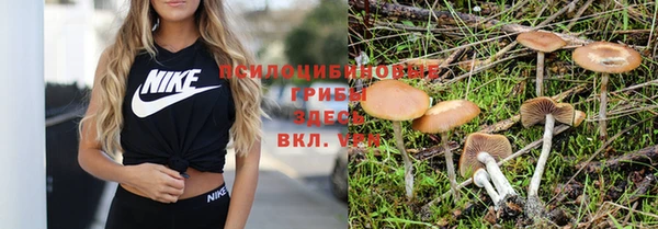 ГАЛЛЮЦИНОГЕННЫЕ ГРИБЫ Медвежьегорск