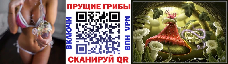 Купить где Магас Галлюциногенные грибы мухоморы