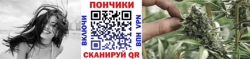 Купить закладки  Магас  Каннабис MAZAR 